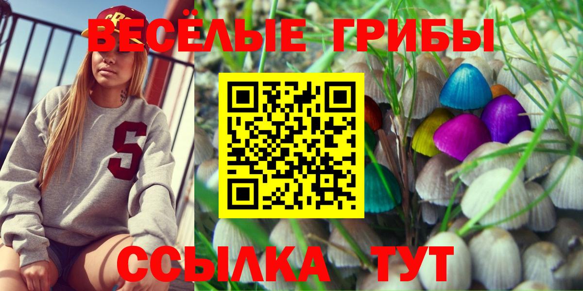 Котельники  Галлюциногенные грибы Magic Shrooms  Вход с VPN 